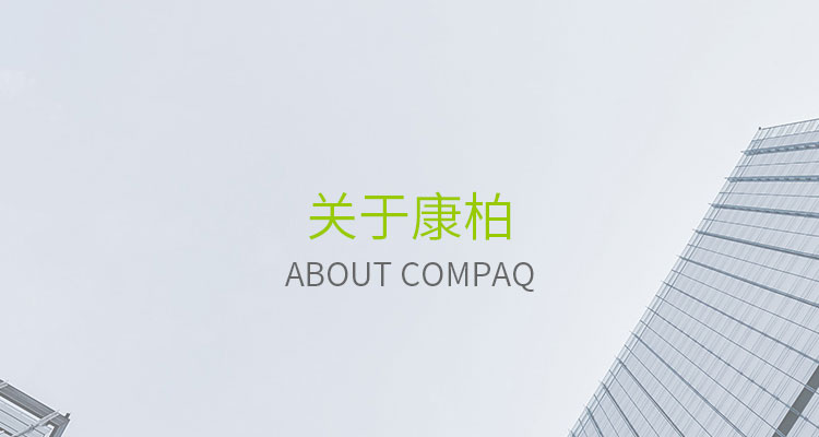 关于cq9电子